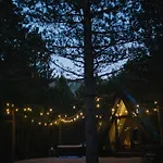 Chalet Pinelle Blidinje A-frame House *