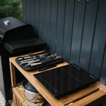 Pinelle Blidinje A-frame House *