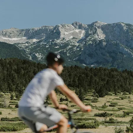 Pinelle Blidinje A-frame House Σαλέ Risovac