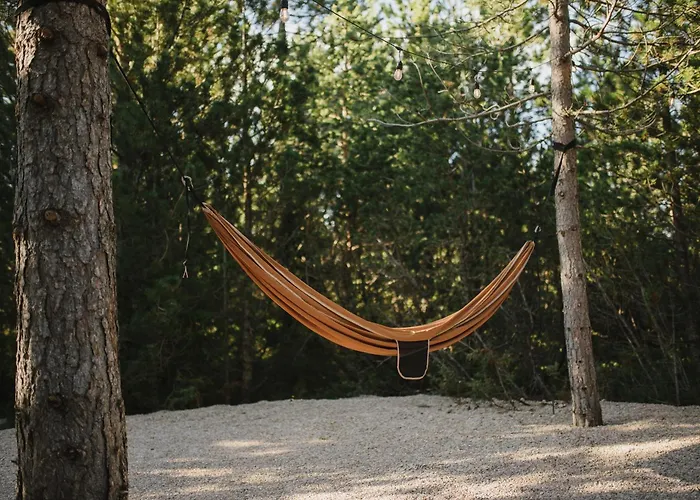 Chalet Pinelle Blidinje A-frame House *