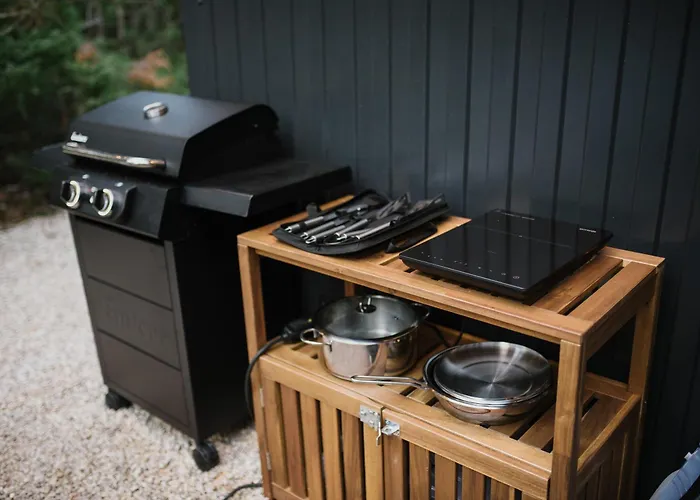 Chalet Pinelle Blidinje A-frame House Risovac