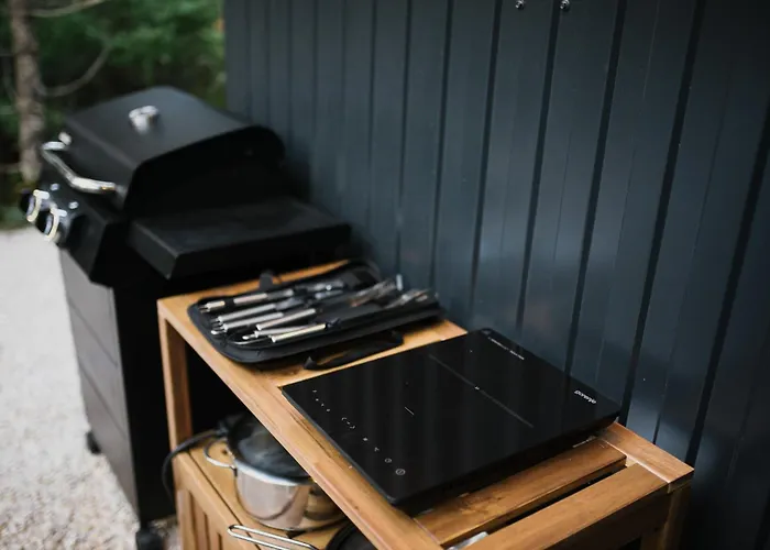 Pinelle Blidinje A-frame House *